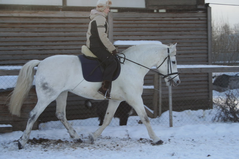 IMG_1677.jpg1.jpg"%20height="533"%20width="800